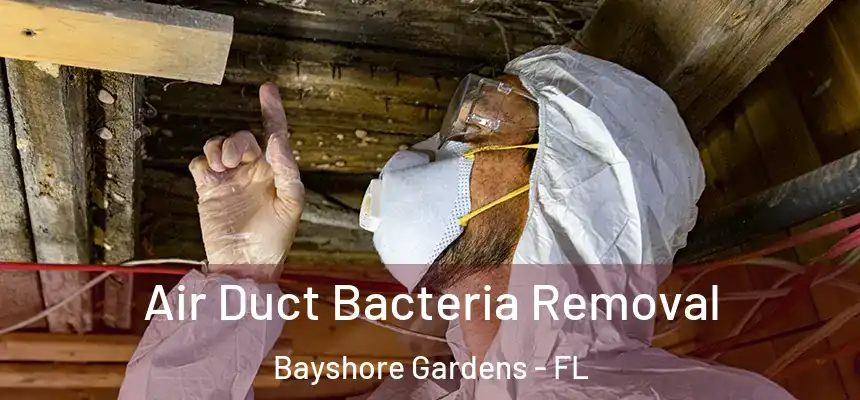 Air Duct Bacteria Removal Bayshore Gardens - FL