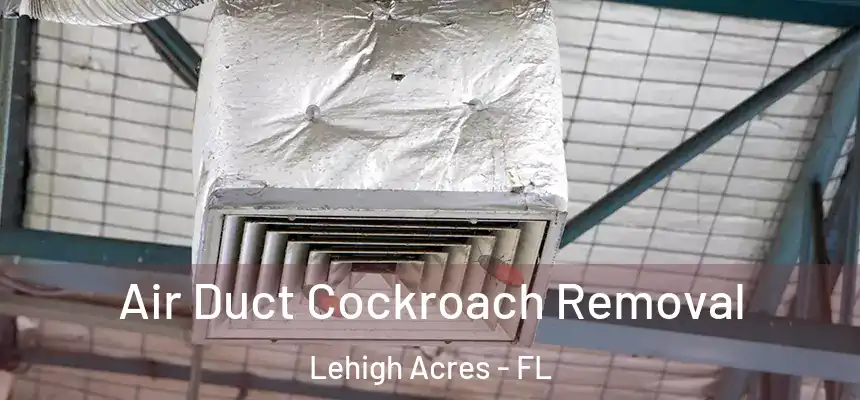  Air Duct Cockroach Removal Lehigh Acres - FL