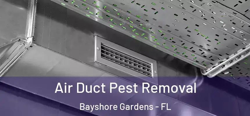 Air Duct Pest Removal Bayshore Gardens - FL