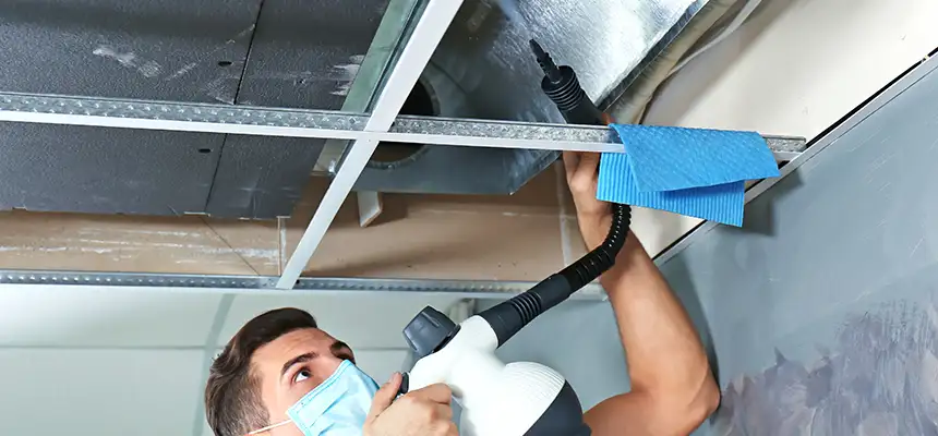 Our Air Duct Rodent Removal Services in Bayshore Gardens, FL
