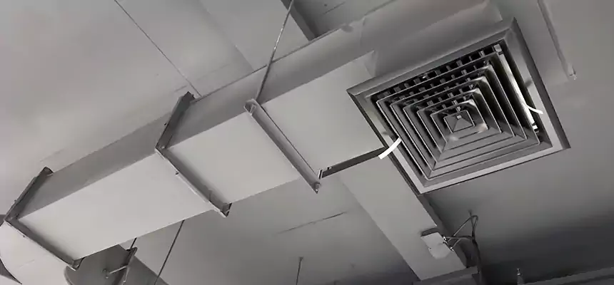 Restorative Allergy Relief Vent Cleaning – Coil, Blower & Housing Detail in Lehigh Acres