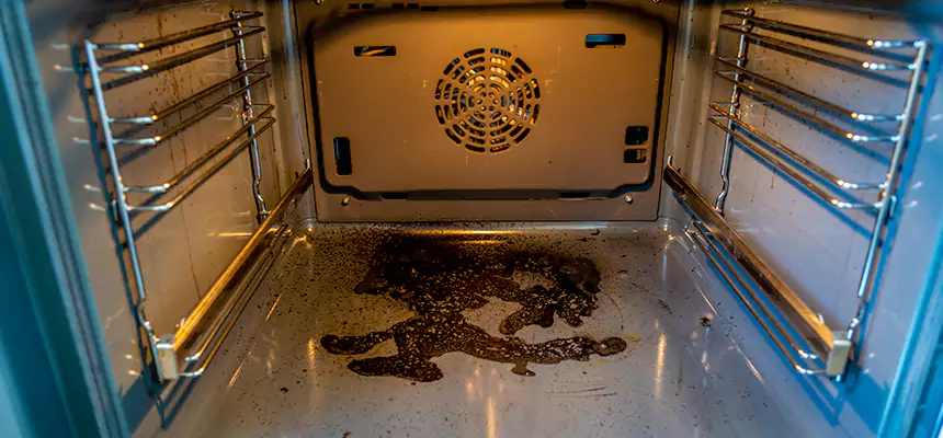 Our Dryer Vent Mold Cleaning Services in Lehigh Acres, FL