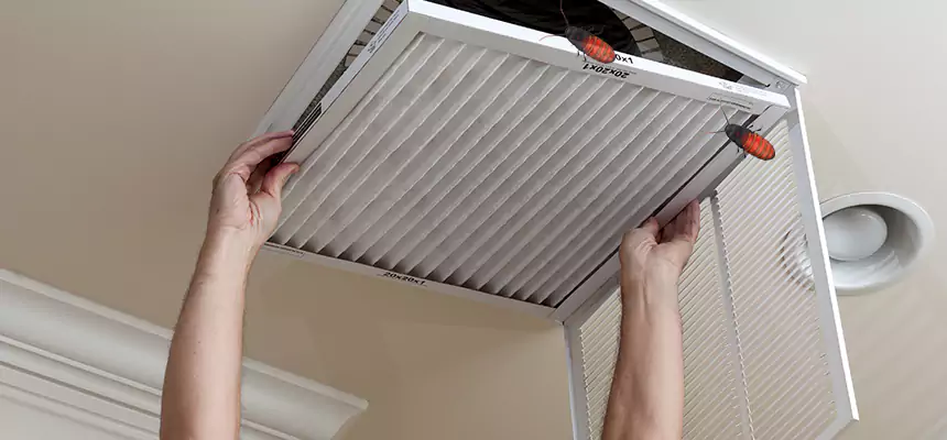 Our Insect Removal from Air Ducts Services in Lehigh Acres, FL