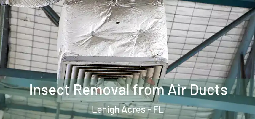 Insect Removal from Air Ducts Lehigh Acres - FL