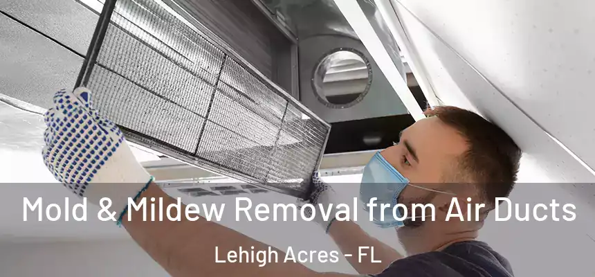 Mold & Mildew Removal from Air Ducts Lehigh Acres - FL