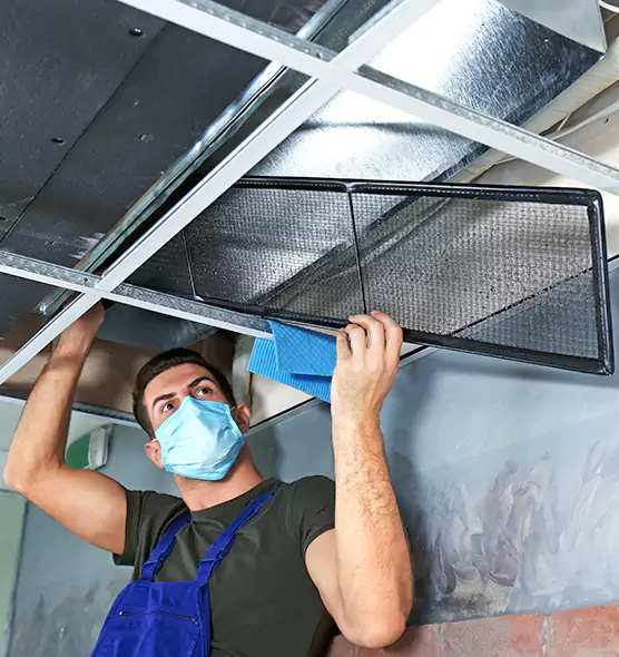 About Air Duct Bacteria Removal in Lehigh Acres