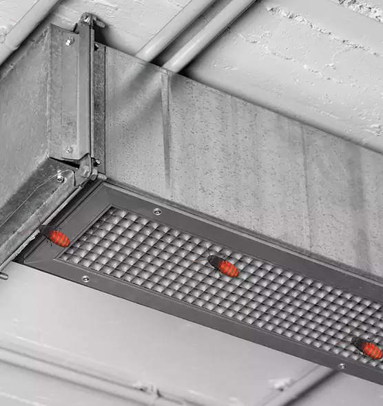 About Air Duct Cockroach Removal in Lehigh Acres, FL