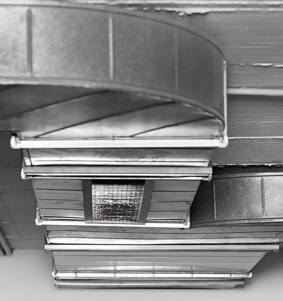 Professional Air Duct Pet Hair Removal in Lehigh Acres, FL