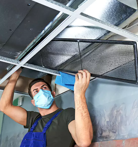 Professional Air Duct Pollen Cleaning in Bayshore Gardens, FL
