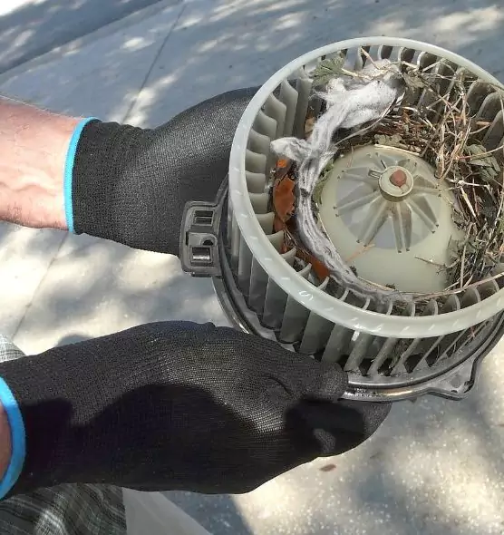 About Air Duct Rat Removal in Bayshore Gardens, FL