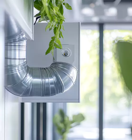 Professional Eco-Safe Dryer Vent Cleaning in Lehigh Acres, FL