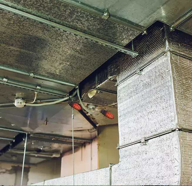 Why Homeowners & Businesses Trust Us in Lehigh Acres, FL?