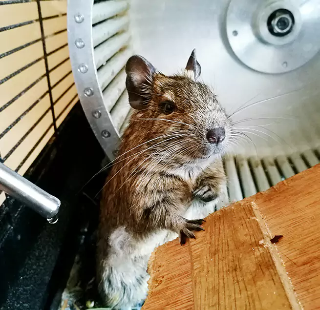 Why Homeowners & Businesses Trust Us Lehigh Acres, FL