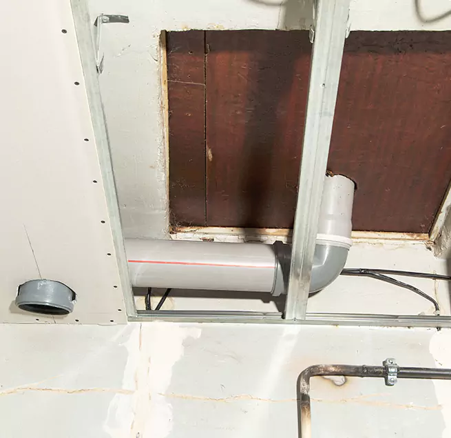 Why Homeowners & Businesses Trust Us in Lehigh Acres, FL?