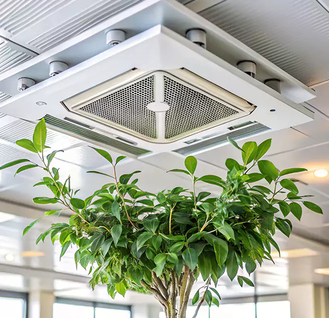 Why Homeowners & Businesses Trust Us in Lehigh Acres, FL?