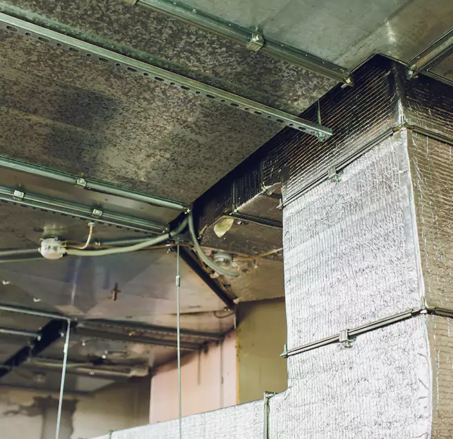 Why Homeowners & Businesses Trust Us in Lehigh Acres, FL?